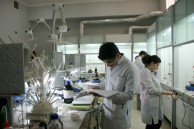 At the Organic Chemistry laboratory